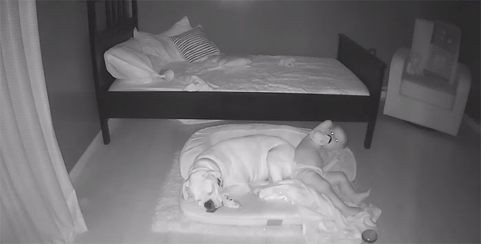 Camera Captures Adorable Moment Little Boy Sneaks Out Of His Bed To Sleep With His Dog