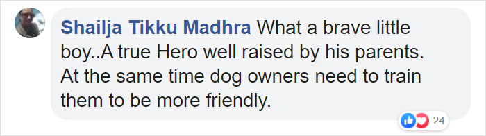 6-Year-Old Superhero Saves Sister From Dog Attack, Gets 90 Stitches And Praise From The Avengers 6-Year-Old Superhero Saves Sister From Dog Attack, Gets 90 Stitches And Praise From The Avengers