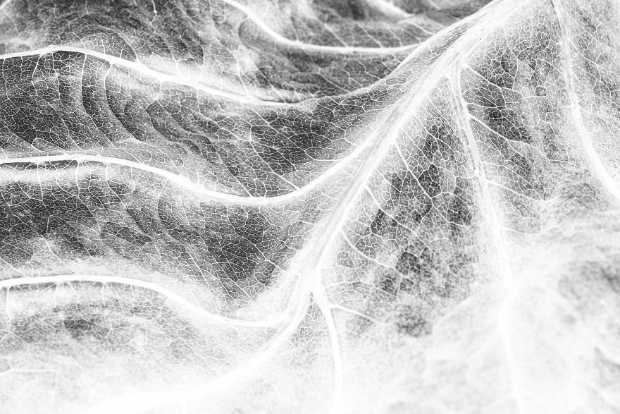 I Created This Quarantine Project To Relieve My Inner Universe (16 Pics) I Created This Quarantine Project To Relieve My Inner Universe (16 Pics)