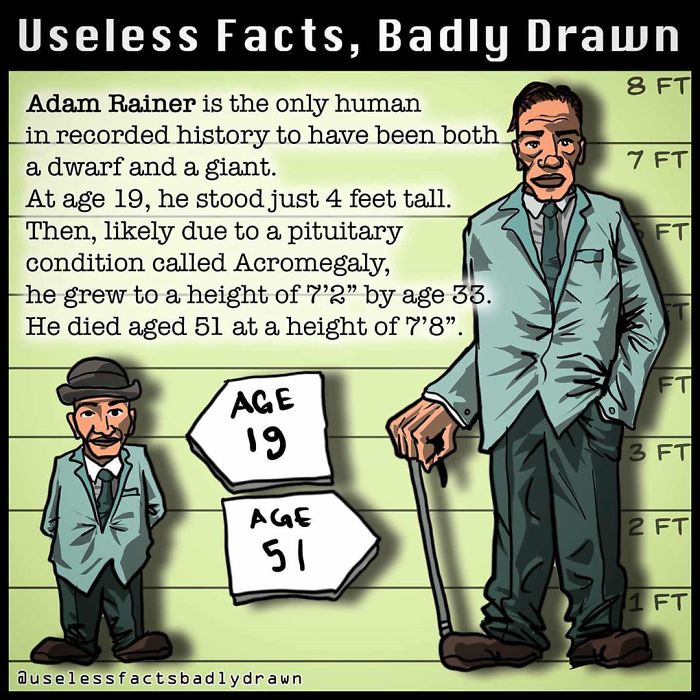 “Useless Facts, Badly Drawn”: 33 Random Bits Of Trivia That Are Totally True “Useless Facts, Badly Drawn”: 33 Random Bits Of Trivia That Are Totally True