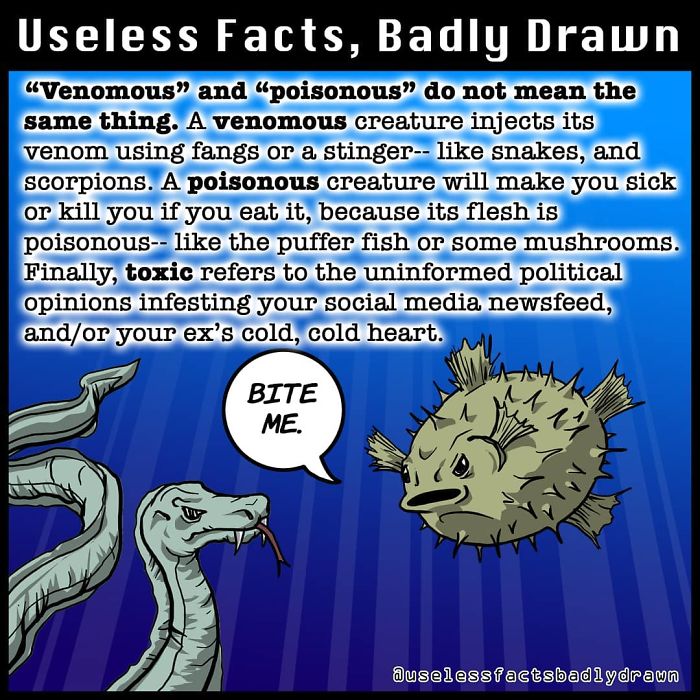 &#8220;Useless Facts, Badly Drawn&#8221;: 33 Random Bits Of Trivia That Are Totally True