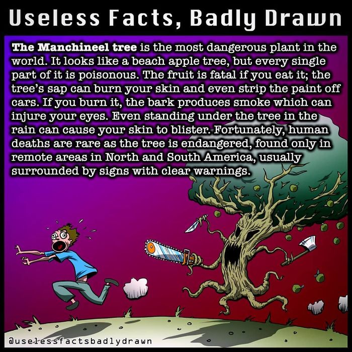 “Useless Facts, Badly Drawn”: 33 Random Bits Of Trivia That Are Totally True “Useless Facts, Badly Drawn”: 33 Random Bits Of Trivia That Are Totally True