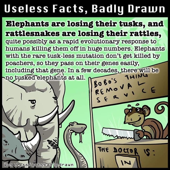 &#8220;Useless Facts, Badly Drawn&#8221;: 33 Random Bits Of Trivia That Are Totally True