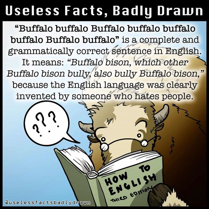 &#8220;Useless Facts, Badly Drawn&#8221;: 33 Random Bits Of Trivia That Are Totally True