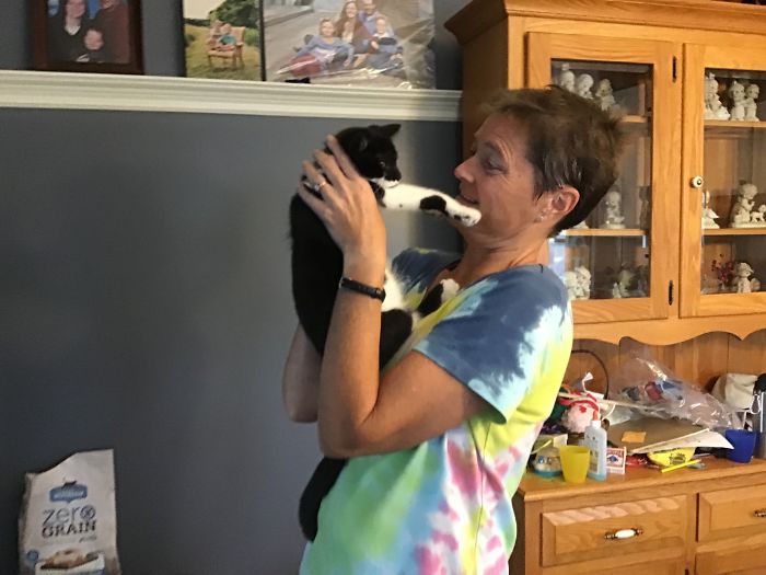 Hey Pandas, Share A Photo Of Your Cat When It Was Still A Kitten (Ended)