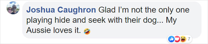 People Are Loving This Golden Retriever’s Confused Reaction To Finding His Owner In The Mirror During Hide And Seek People Are Loving This Golden Retriever’s Confused Reaction To Finding His Owner In The Mirror During Hide And Seek