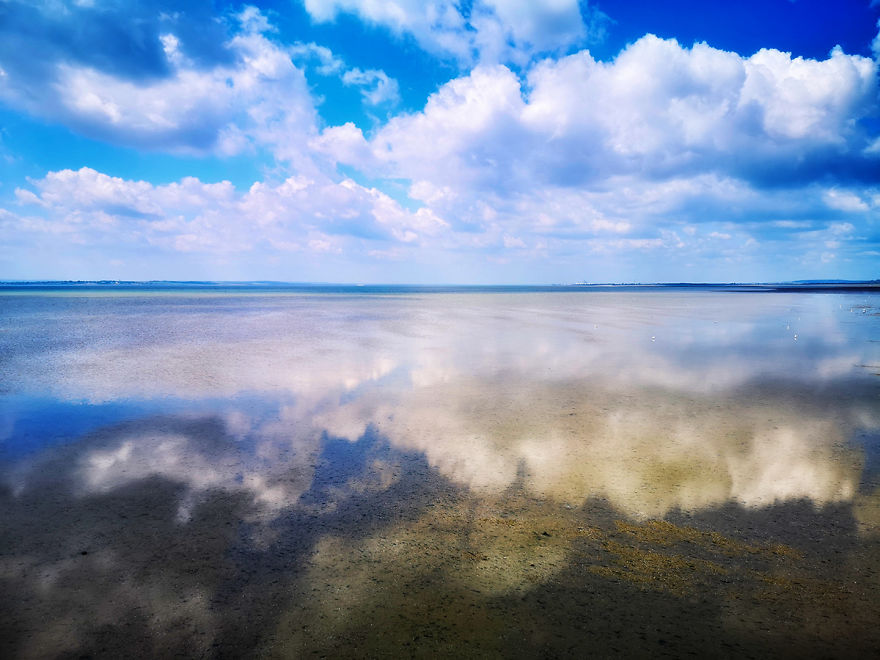 I Used My Huawei P20 Pro For Photography (13 Pics) I Used My Huawei P20 Pro For Photography (13 Pics)