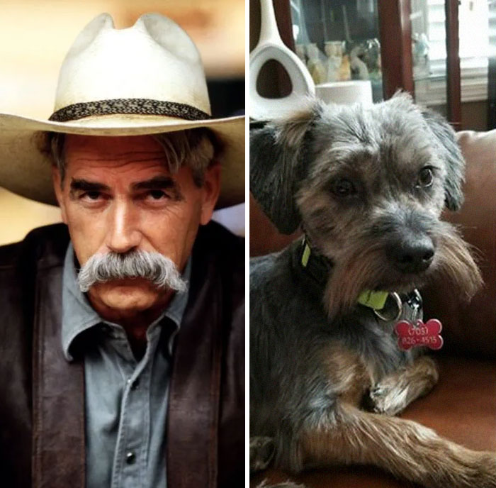 People Post Side-By-Side Pics Of Famous People And Their Dog Lookalikes (30 Pics) People Post Side-By-Side Pics Of Famous People And Their Dog Lookalikes (30 Pics)