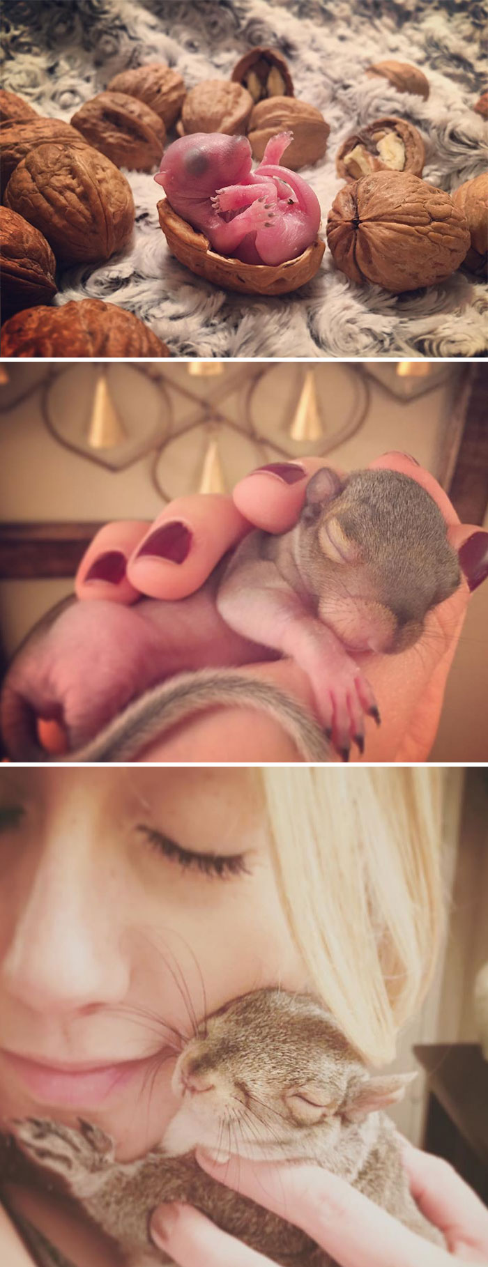 50 Posts To Remind Us How Awesome Squirrels Are 50 Posts To Remind Us How Awesome Squirrels Are