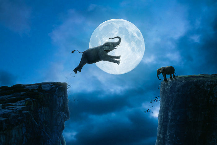 I Learned How To Use Photoshop During The Lockdown And Created These Pieces (18 Pics) I Learned How To Use Photoshop During The Lockdown And Created These Pieces (18 Pics)