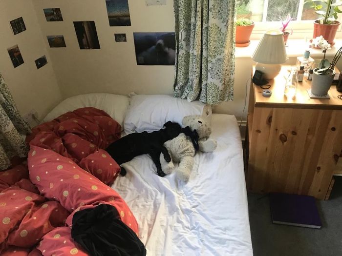 Hey Pandas, Share The Cutest Pic Of Your Doggo When It Was Still A Pupper (Closed) Hey Pandas, Share The Cutest Pic Of Your Doggo When It Was Still A Pupper (Closed)