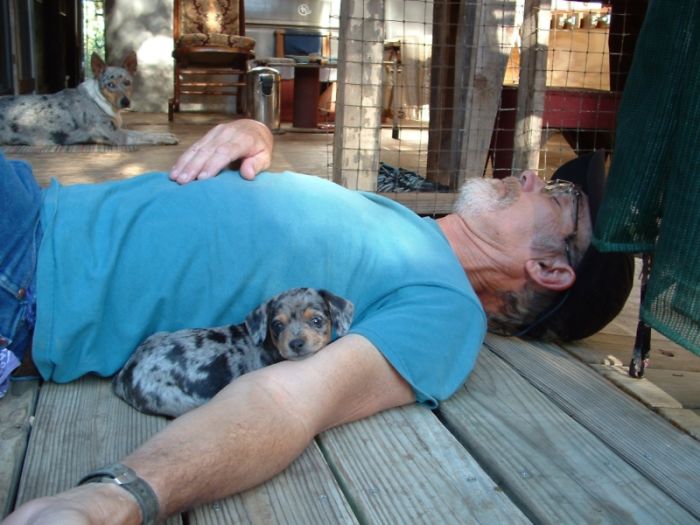 Hey Pandas, Share The Cutest Pic Of Your Doggo When It Was Still A Pupper (Closed) Hey Pandas, Share The Cutest Pic Of Your Doggo When It Was Still A Pupper (Closed)