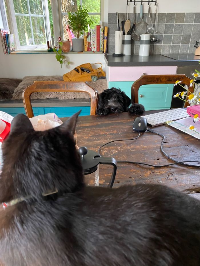 Hey Pandas, Share The Cutest Pic Of Your Doggo When It Was Still A Pupper (Closed) Hey Pandas, Share The Cutest Pic Of Your Doggo When It Was Still A Pupper (Closed)