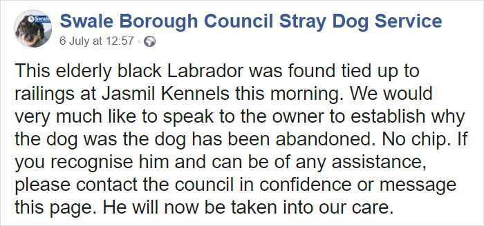 “I Haven’t Learnt To Be Good”: People Find An Abandoned Elderly Labrador With A Note “I Haven’t Learnt To Be Good”: People Find An Abandoned Elderly Labrador With A Note