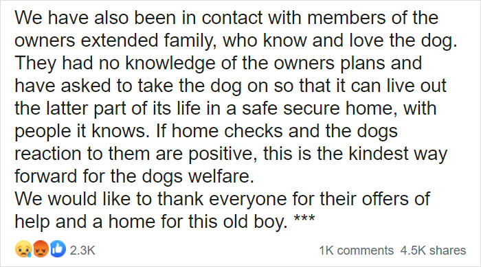 “I Haven’t Learnt To Be Good”: People Find An Abandoned Elderly Labrador With A Note “I Haven’t Learnt To Be Good”: People Find An Abandoned Elderly Labrador With A Note