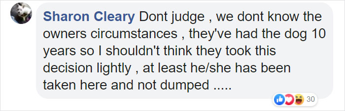“I Haven’t Learnt To Be Good”: People Find An Abandoned Elderly Labrador With A Note “I Haven’t Learnt To Be Good”: People Find An Abandoned Elderly Labrador With A Note