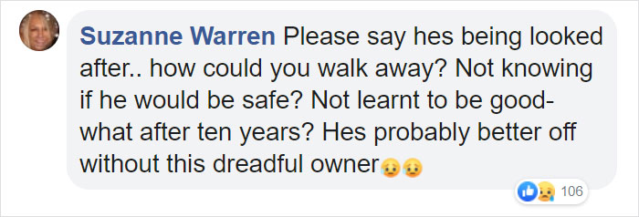 “I Haven’t Learnt To Be Good”: People Find An Abandoned Elderly Labrador With A Note “I Haven’t Learnt To Be Good”: People Find An Abandoned Elderly Labrador With A Note