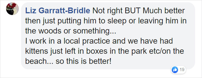“I Haven’t Learnt To Be Good”: People Find An Abandoned Elderly Labrador With A Note “I Haven’t Learnt To Be Good”: People Find An Abandoned Elderly Labrador With A Note