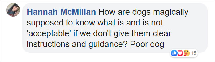 “I Haven’t Learnt To Be Good”: People Find An Abandoned Elderly Labrador With A Note “I Haven’t Learnt To Be Good”: People Find An Abandoned Elderly Labrador With A Note