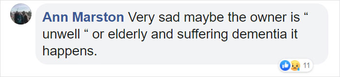 “I Haven’t Learnt To Be Good”: People Find An Abandoned Elderly Labrador With A Note “I Haven’t Learnt To Be Good”: People Find An Abandoned Elderly Labrador With A Note