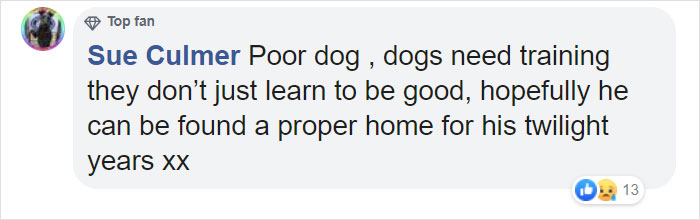 “I Haven’t Learnt To Be Good”: People Find An Abandoned Elderly Labrador With A Note “I Haven’t Learnt To Be Good”: People Find An Abandoned Elderly Labrador With A Note