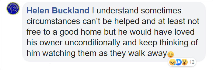 “I Haven’t Learnt To Be Good”: People Find An Abandoned Elderly Labrador With A Note “I Haven’t Learnt To Be Good”: People Find An Abandoned Elderly Labrador With A Note