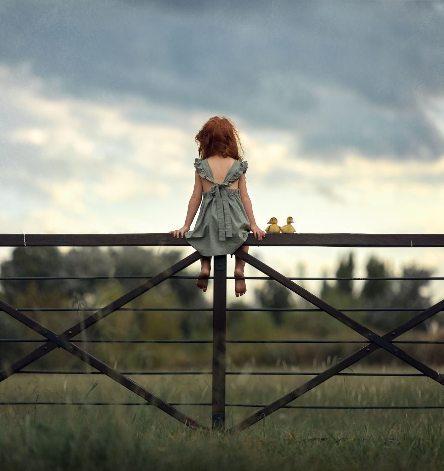 We Raised Two Ducks For A Month And Here Are My Daughter’s Adventures With These Little Fellows (16 Pics) We Raised Two Ducks For A Month And Here Are My Daughter’s Adventures With These Little Fellows (16 Pics)