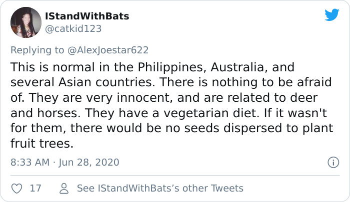 People Are Horrified Over This Enormous ‘Human-Sized’ Bat People Are Horrified Over This Enormous ‘Human-Sized’ Bat