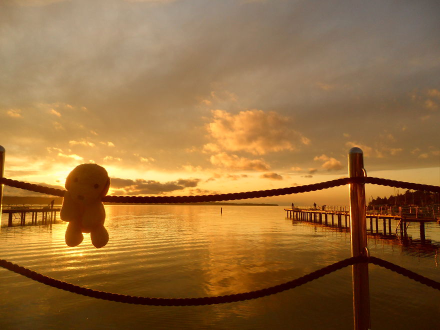 10 New Pictures Of My Cute Stuffed Dog Exploring The World 10 New Pictures Of My Cute Stuffed Dog Exploring The World