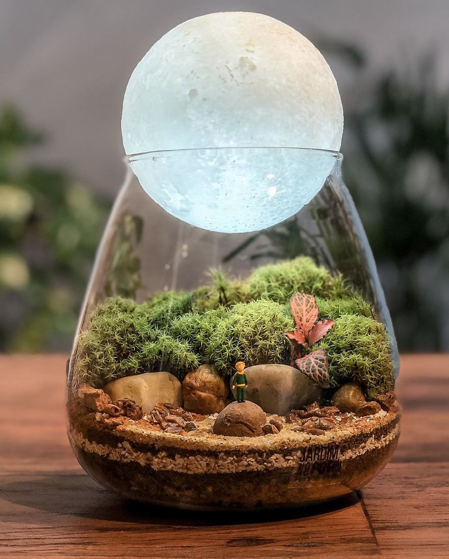 These Artists Put Micro, Self-Sustainable Ecosystems In Glass Containers (30 Pics)