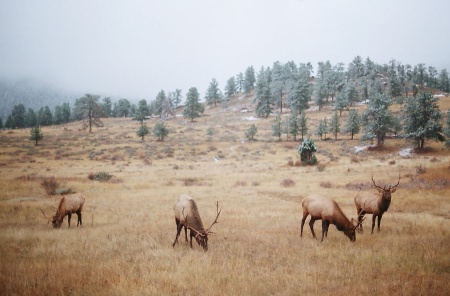 I Traveled Across 18 States Of The USA In 8 Weeks, Here Are My 34 Best Shots I Traveled Across 18 States Of The USA In 8 Weeks, Here Are My 34 Best Shots