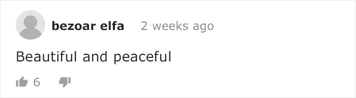 Mama Bear Takes Her 5 Adorable Cubs To Play In A Children’s Playground Mama Bear Takes Her 5 Adorable Cubs To Play In A Children’s Playground