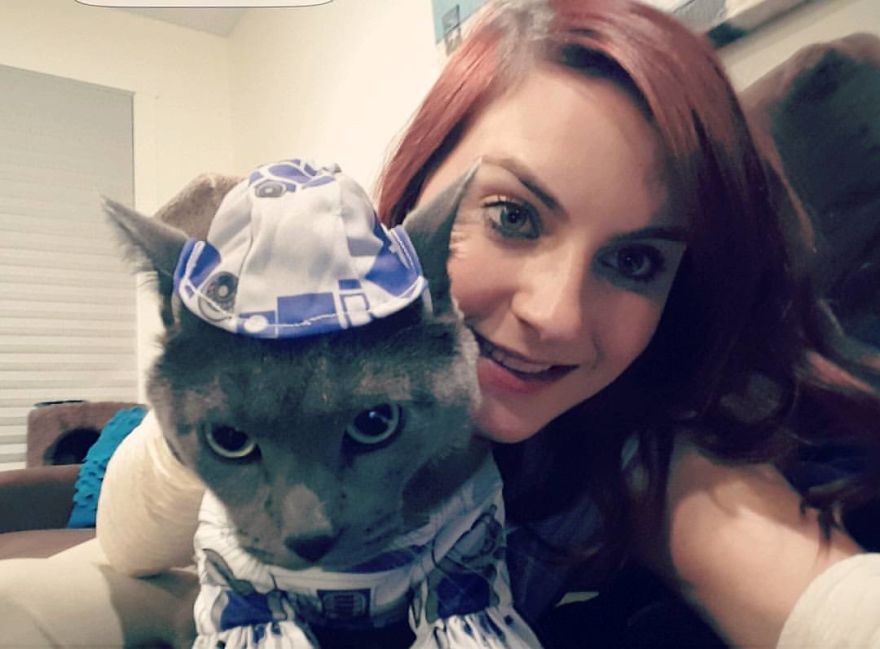 Woman Left Her Cat In Her Yard, Ran Outside After Hearing Screams To Find There Were Two Of Them And She Couldn’t Tell Who Was Who Woman Left Her Cat In Her Yard, Ran Outside After Hearing Screams To Find There Were Two Of Them And She Couldn’t Tell Who Was Who