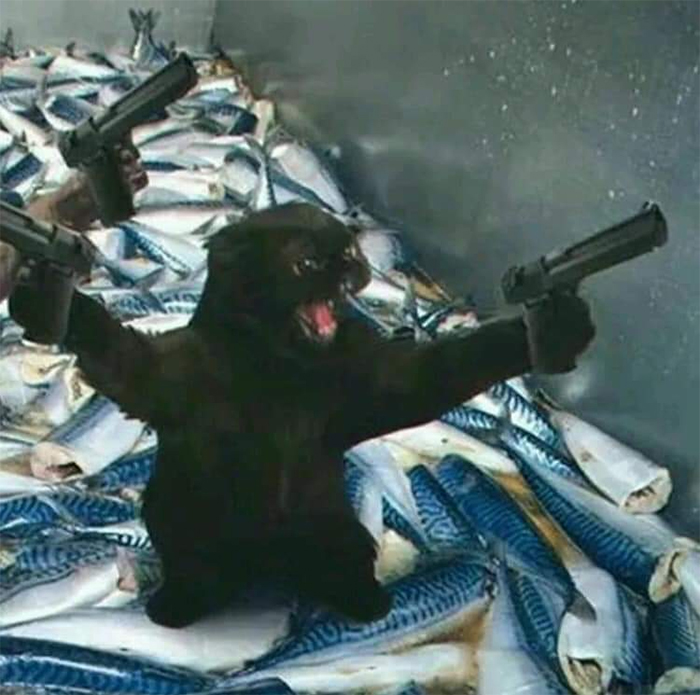 21 Hilarious Cat Versions Of Famous Movie Makers 21 Hilarious Cat Versions Of Famous Movie Makers