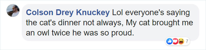 This Bird Of Prey Tries To Intimidate A Defenseless Family Cat By Showing How Big It Is