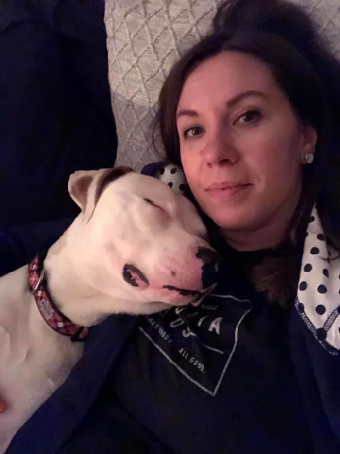 50 Photos By Our Readers Of Their Pets Just Moments After They’d Adopted Them 50 Photos By Our Readers Of Their Pets Just Moments After They’d Adopted Them