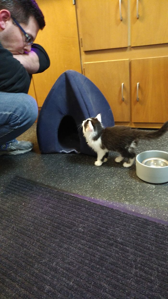 50 Photos By Our Readers Of Their Pets Just Moments After They’d Adopted Them 50 Photos By Our Readers Of Their Pets Just Moments After They’d Adopted Them