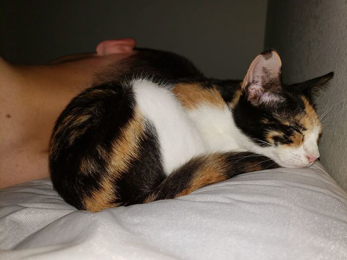 50 Photos By Our Readers Of Their Pets Just Moments After They’d Adopted Them 50 Photos By Our Readers Of Their Pets Just Moments After They’d Adopted Them