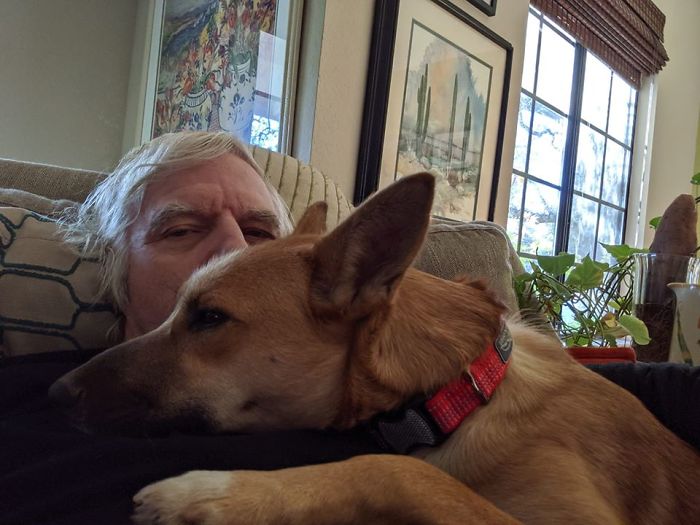 50 Photos By Our Readers Of Their Pets Just Moments After They’d Adopted Them 50 Photos By Our Readers Of Their Pets Just Moments After They’d Adopted Them