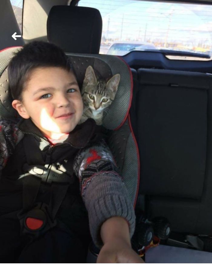 50 Photos By Our Readers Of Their Pets Just Moments After They’d Adopted Them 50 Photos By Our Readers Of Their Pets Just Moments After They’d Adopted Them