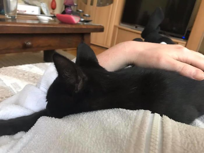 50 Photos By Our Readers Of Their Pets Just Moments After They’d Adopted Them 50 Photos By Our Readers Of Their Pets Just Moments After They’d Adopted Them