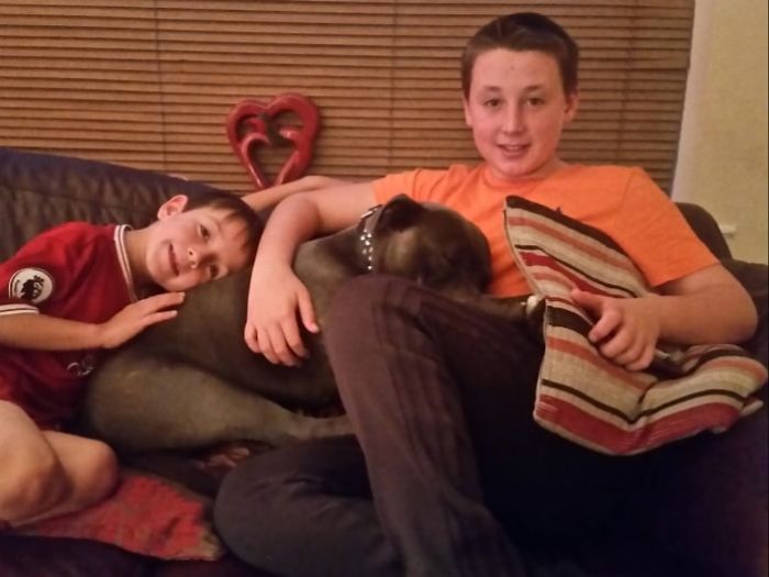 50 Photos By Our Readers Of Their Pets Just Moments After They’d Adopted Them 50 Photos By Our Readers Of Their Pets Just Moments After They’d Adopted Them