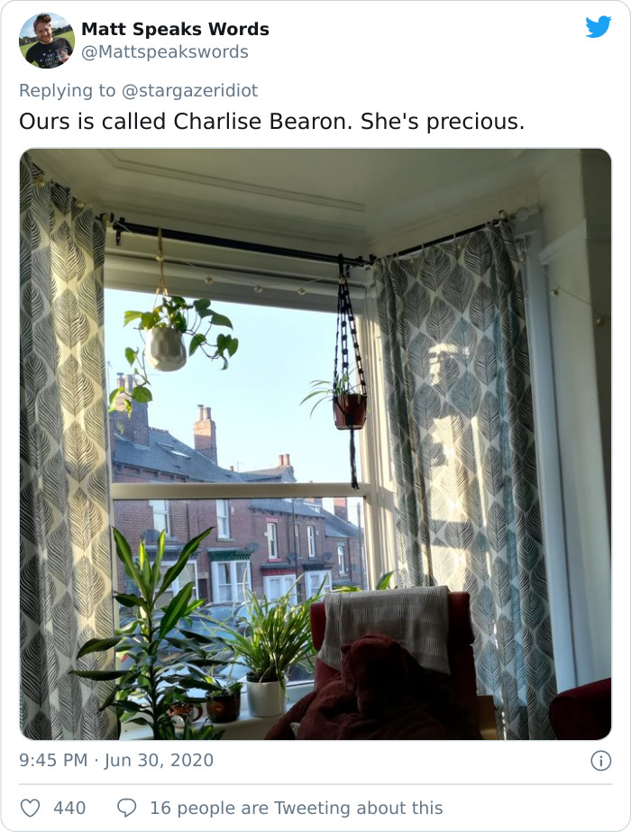 IKEA Released An Adorable Plush Bear And People Are Losing Their Minds Over It IKEA Released An Adorable Plush Bear And People Are Losing Their Minds Over It