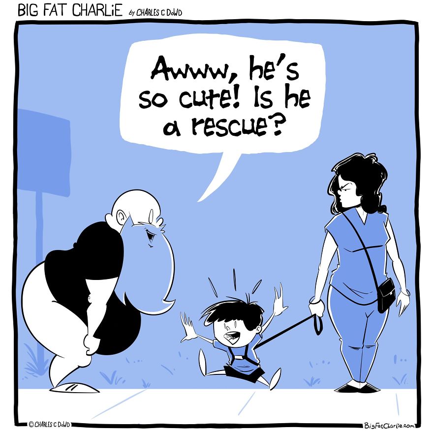 My 40 Fun Comics About My Daily Struggles As A Fat Man