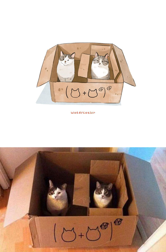 30 Of The Funniest Internet-Famous Cat Pics Get ‘Watercolorized’ By Amelia Rizky (New Pics) 30 Of The Funniest Internet-Famous Cat Pics Get ‘Watercolorized’ By Amelia Rizky (New Pics)