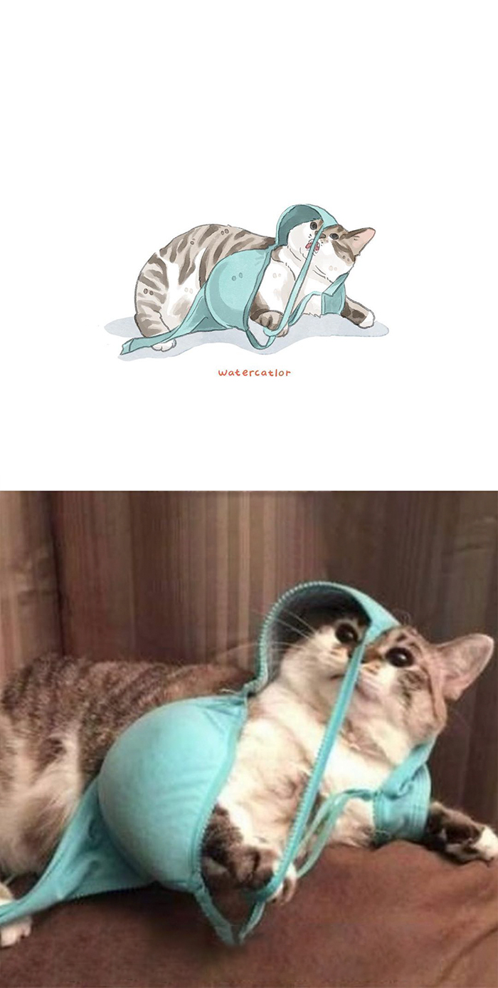 30 Of The Funniest Internet-Famous Cat Pics Get ‘Watercolorized’ By Amelia Rizky (New Pics) 30 Of The Funniest Internet-Famous Cat Pics Get ‘Watercolorized’ By Amelia Rizky (New Pics)