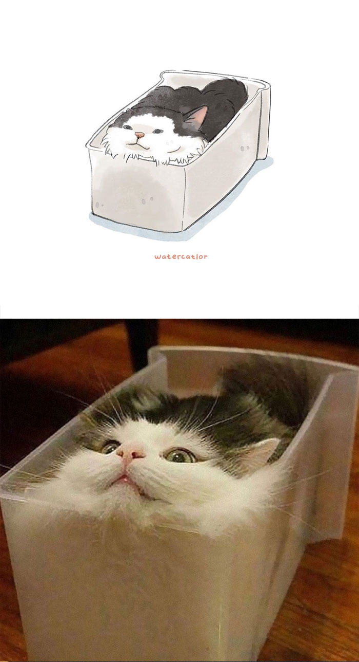 30 Of The Funniest Internet-Famous Cat Pics Get ‘Watercolorized’ By Amelia Rizky (New Pics) 30 Of The Funniest Internet-Famous Cat Pics Get ‘Watercolorized’ By Amelia Rizky (New Pics)