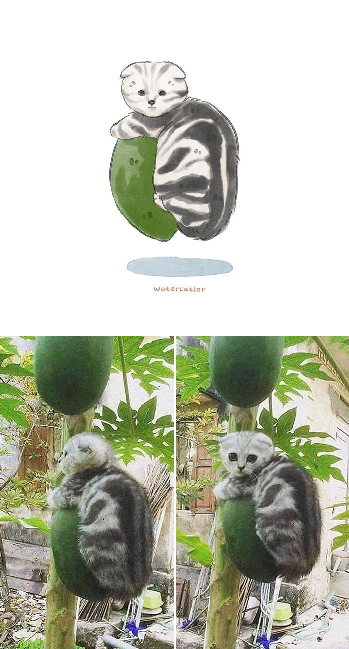 30 Of The Funniest Internet-Famous Cat Pics Get ‘Watercolorized’ By Amelia Rizky (New Pics) 30 Of The Funniest Internet-Famous Cat Pics Get ‘Watercolorized’ By Amelia Rizky (New Pics)