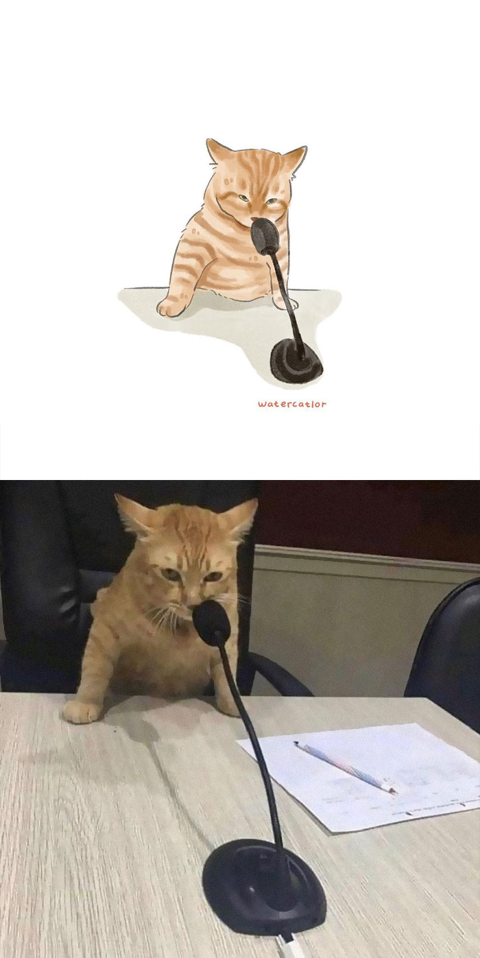 30 Of The Funniest Internet-Famous Cat Pics Get ‘Watercolorized’ By Amelia Rizky (New Pics) 30 Of The Funniest Internet-Famous Cat Pics Get ‘Watercolorized’ By Amelia Rizky (New Pics)