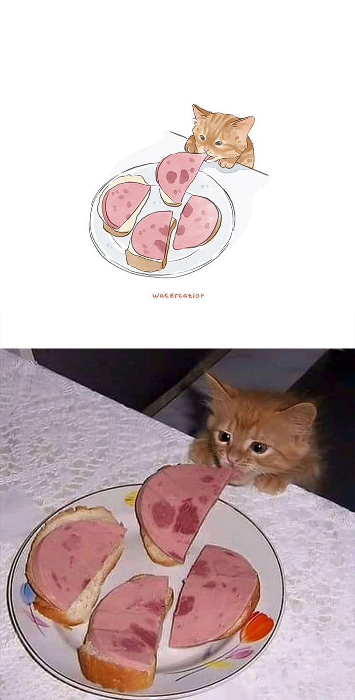 30 Of The Funniest Internet-Famous Cat Pics Get ‘Watercolorized’ By Amelia Rizky (New Pics) 30 Of The Funniest Internet-Famous Cat Pics Get ‘Watercolorized’ By Amelia Rizky (New Pics)